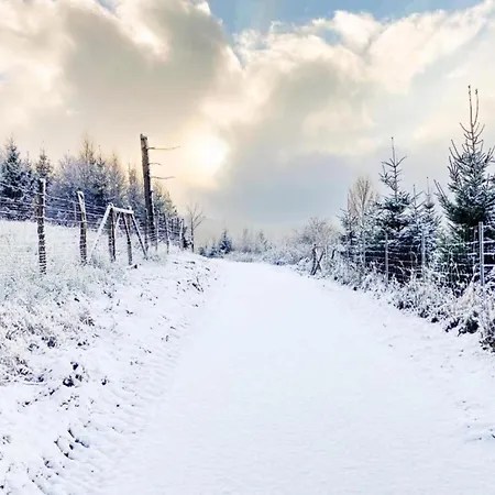 شقة In Langewiese Sauerland With Garden *