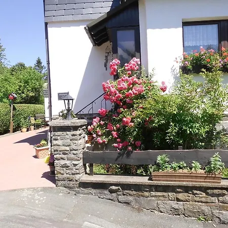 In Langewiese Sauerland With Garden *