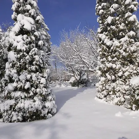 In Langewiese Sauerland With Garden