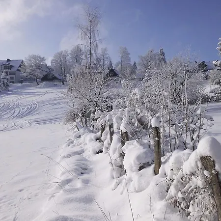 In Langewiese Sauerland With Garden شقة *