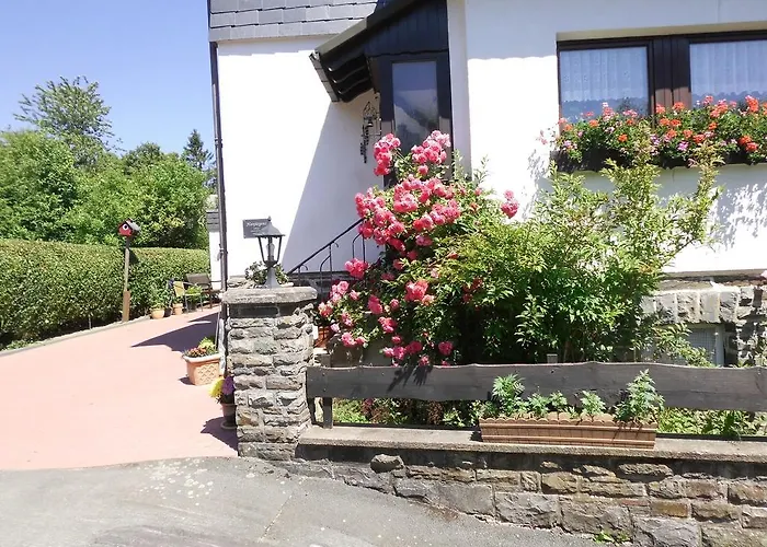 In Langewiese Sauerland With Garden *