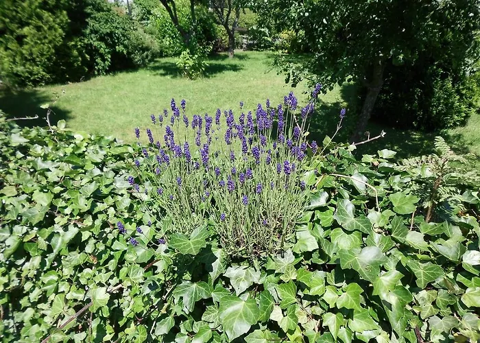 Apartamento In Langewiese Sauerland With Garden